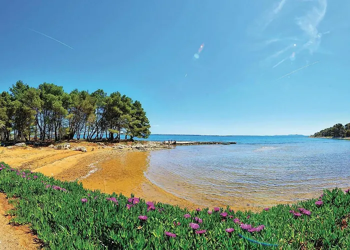 One-bedroom In Appartement *