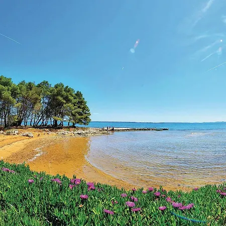 One-bedroom In 公寓 *